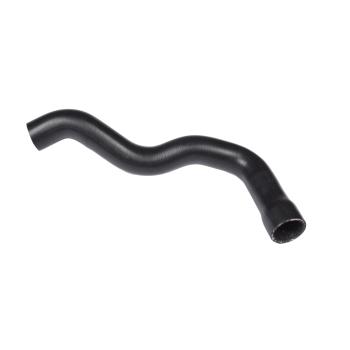 1981 Pontiac Firebird Radiator Coolant Hose