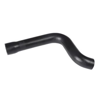 1979 Ford F-150 Radiator Coolant Hose Upper Continental 60967 image 1 of 1
