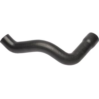 1979 Pontiac Firebird Radiator Coolant Hose Lower Continental 60991 image 1 of 1