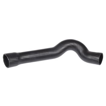1979 Ford F-150 Radiator Coolant Hose Lower Continental 60996 image 1 of 1
