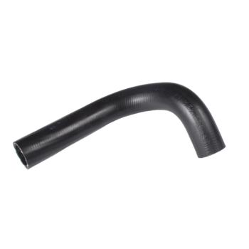 1993 Ford Festiva Radiator Coolant Hose