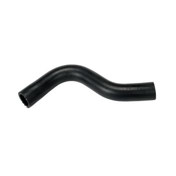 1989 Subaru RX Radiator Coolant Hose