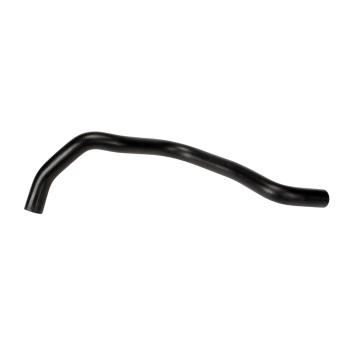 2001 Acura EL Radiator Coolant Hose Lower Continental 62016 image 1 of 1
