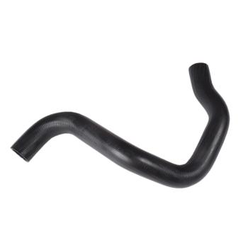 2003 Acura TL Radiator Coolant Hose