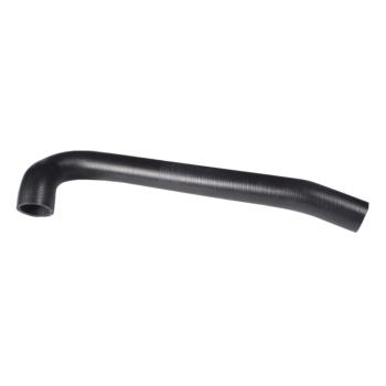 1999 Jeep TJ Radiator Coolant Hose