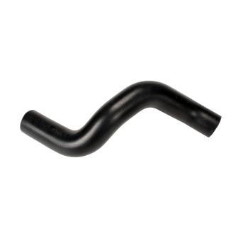 2004 Buick LeSabre Radiator Coolant Hose