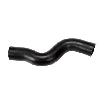 2003 Nissan Maxima Radiator Coolant Hose
