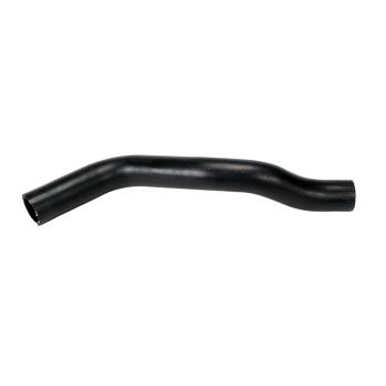 2014 Kia Rondo Radiator Coolant Hose