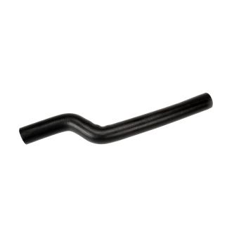 2001 Lexus RX300 Radiator Coolant Hose