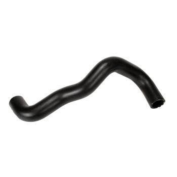 2000 Mazda MPV Radiator Coolant Hose
