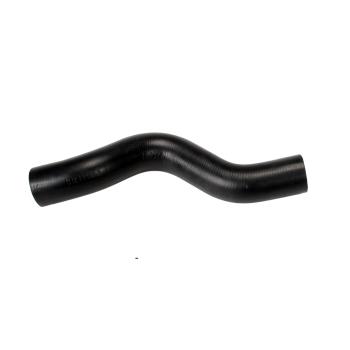 2007 Kia Spectra5 Radiator Coolant Hose