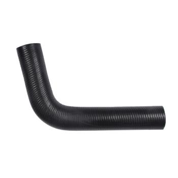 1993 Nissan NX Radiator Coolant Hose