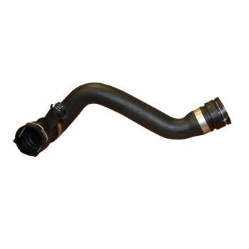 2005 BMW 330i Radiator Coolant Hose Lower - Radiator To Thermostat Continental 67226 image 1 of 1