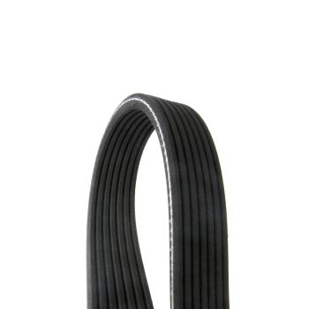 2004 Volkswagen Jetta Serpentine Belt Continental D4070536 image 1 of 1