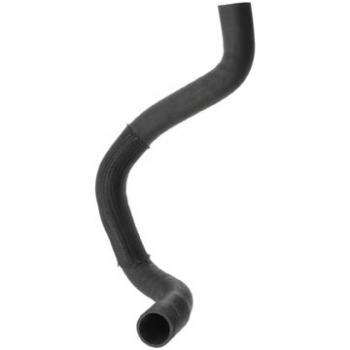 1999 Jeep TJ Radiator Coolant Hose Lower Dayco 71932 image 1 of 1