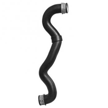 2005 Mercedes-Benz C230 Radiator Coolant Hose Upper Dayco 72787 image 1 of 1