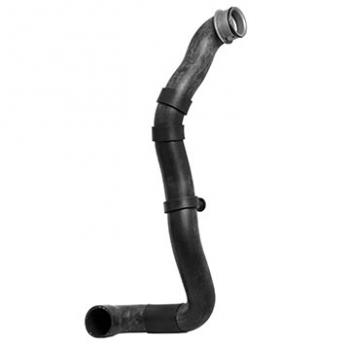 2002 Mercedes-Benz C230 Radiator Coolant Hose Lower Dayco 72795 image 1 of 1