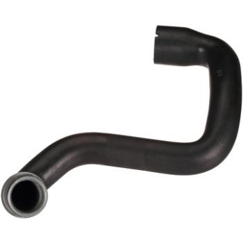 2005 Mercedes-Benz E500 Radiator Coolant Hose Lower Dayco 73161 image 3 of 4