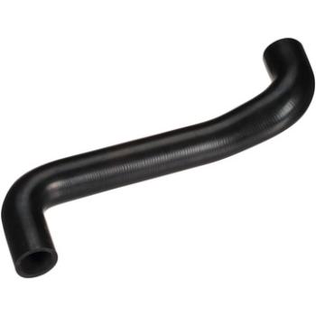 1999 Jaguar Vanden Plas Radiator Coolant Hose Lower - Engine To Radiator Dayco 73170 image 3 of 4