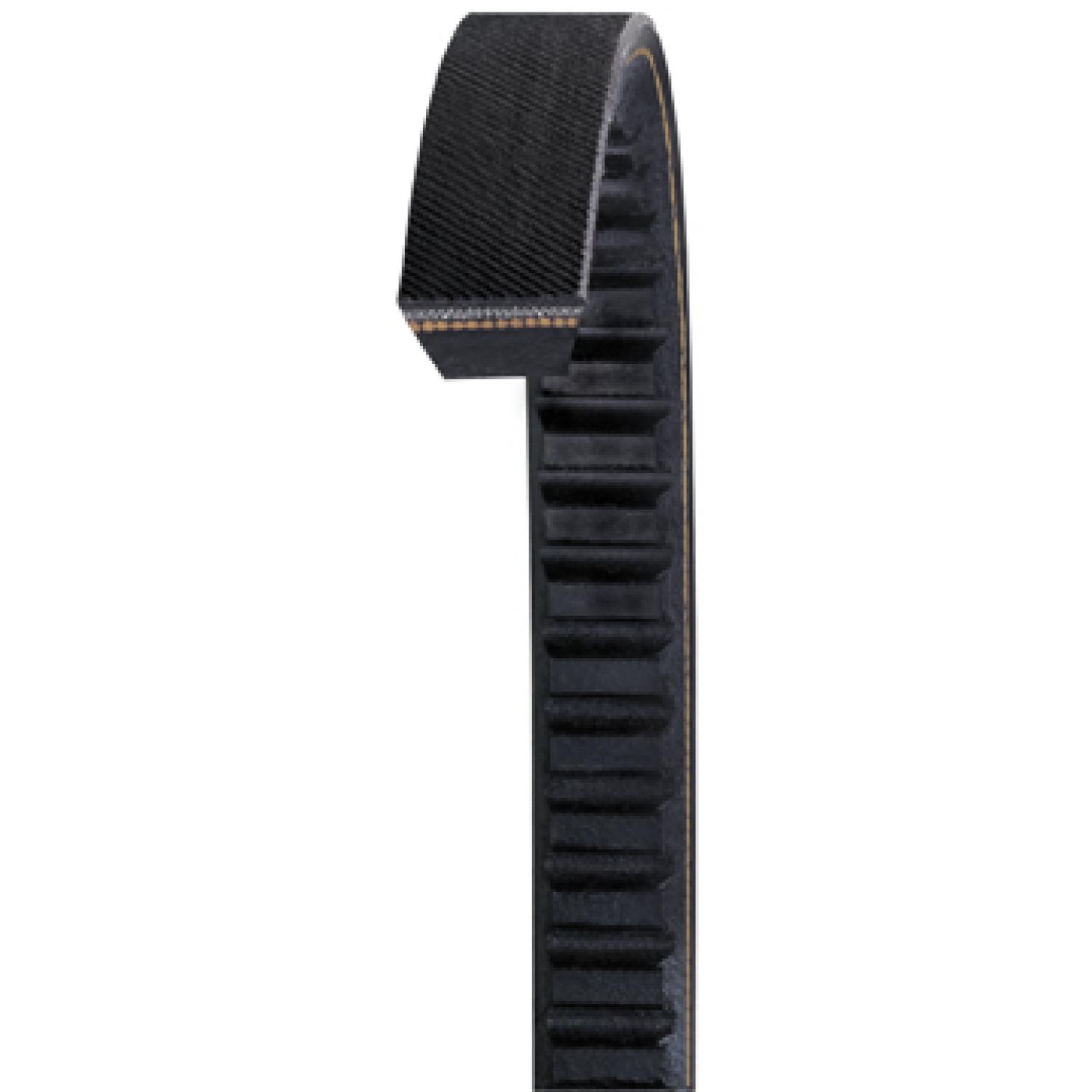 Dayco AX21 Accessory Drive Belt product image 1 of 1