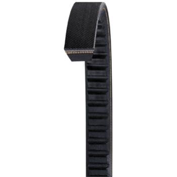 Dayco AX75 Accessory Drive Belt product image 1 of 1