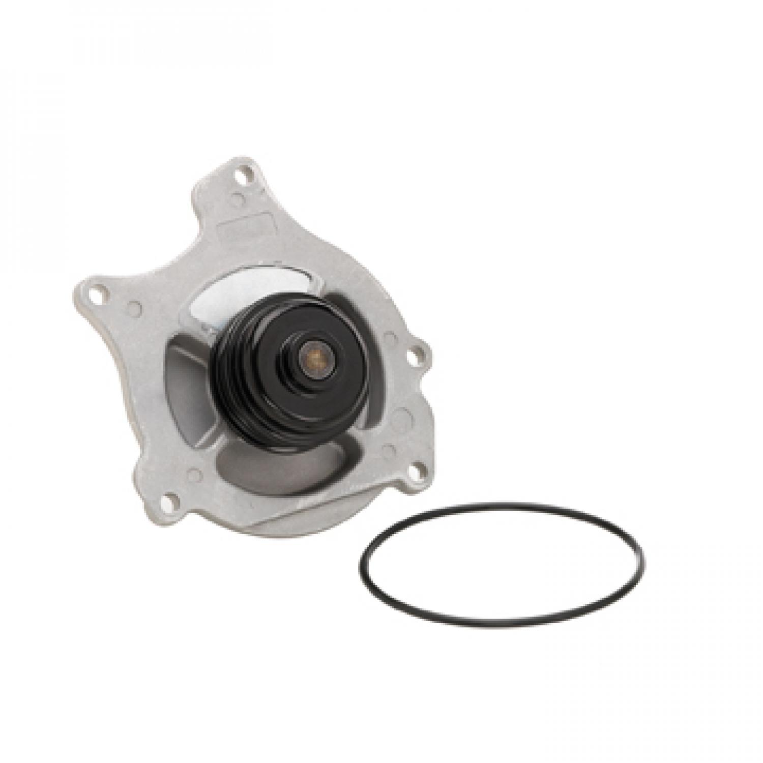 Dayco DP1310 - Engine Water Pump Dayco DP1310 Engine Water Pump product image 2 of 3