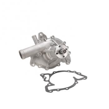 1981 Pontiac Firebird Engine Water Pump Dayco DP843 image 2 of 3