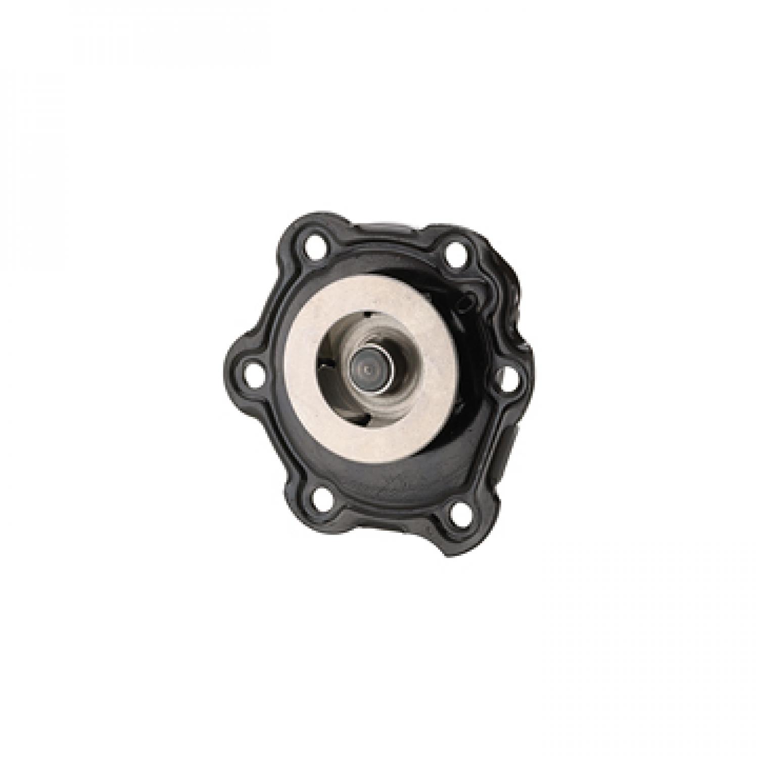 Dayco DP975 - Engine Water Pump Dayco DP975 Engine Water Pump product image 1 of 3