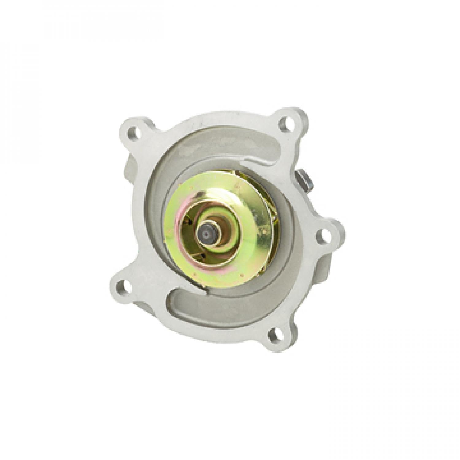 Dayco DP981 - Engine Water Pump Dayco DP981 Engine Water Pump product image 1 of 3