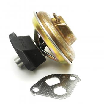 Delphi EG10097 Delphi EG10097 product image 4 of 4