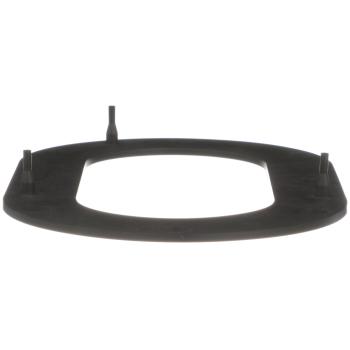 Delphi FA10033 Fuel Pump Tank Seal product image 6 of 7