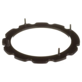 2003 Ford Lobo Fuel Pump Tank Seal