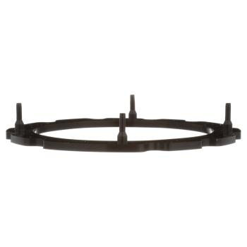 Delphi FA10034 Fuel Pump Tank Seal product image 6 of 7