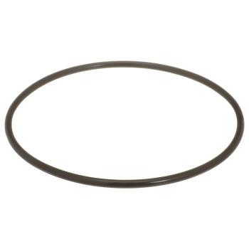 Delphi FA10036 Fuel Pump Tank Seal product image 1 of 7