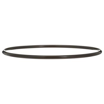 Delphi FA10036 Fuel Pump Tank Seal product image 2 of 7