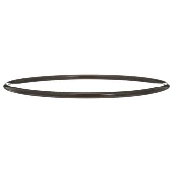 Delphi FA10036 Fuel Pump Tank Seal product image 4 of 7