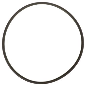 Delphi FA10036 Fuel Pump Tank Seal product image 5 of 7