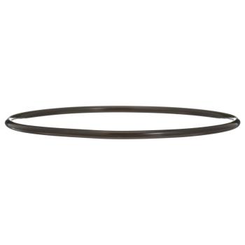Delphi FA10036 Fuel Pump Tank Seal product image 6 of 7