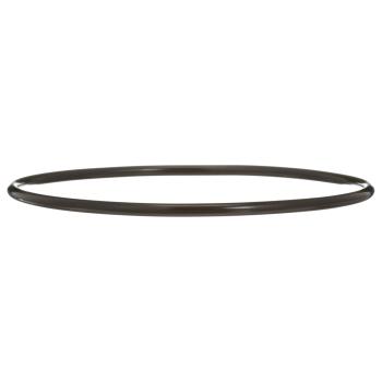 Delphi FA10036 Fuel Pump Tank Seal product image 7 of 7