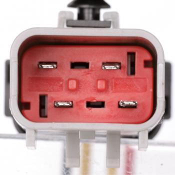 Delphi FG0813 - Fuel Pump Module Assembly Delphi FG0813 Fuel Pump Module Assembly product image 6 of 11