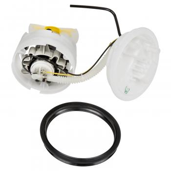 Delphi FG0978 Fuel Pump Module Assembly product image 6 of 9