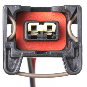 Delphi FG2194 Fuel Pump Module Assembly product image 10 of 11