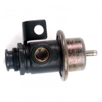 Delphi FP10001  product image 4 of 4