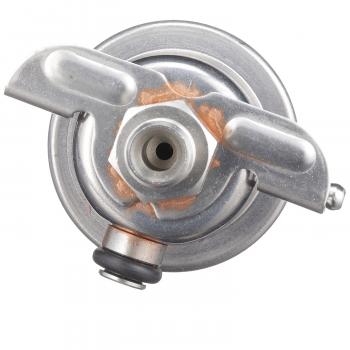 1996 Ford Ranger Fuel Injection Pressure Regulator Delphi FP10044 image 3 of 4