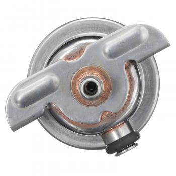 1993 Volkswagen Cabriolet Fuel Injection Pressure Regulator Delphi FP10302 image 3 of 4