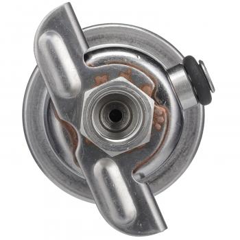 1988 Oldsmobile Cutlass Calais Fuel Injection Pressure Regulator Delphi FP10509 image 3 of 4