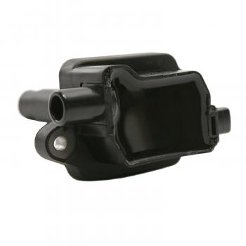 1999 Kia Sportage Ignition Coil Delphi GN10228 image 3 of 3