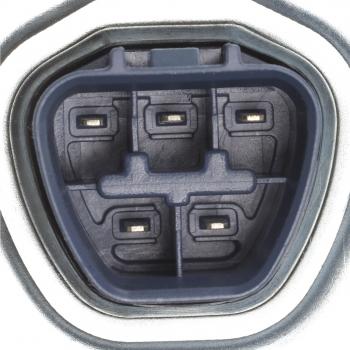 Delphi HP10254 - Fuel Pump Hanger Assembly Delphi HP10254 Fuel Pump Hanger Assembly product image 3 of 9