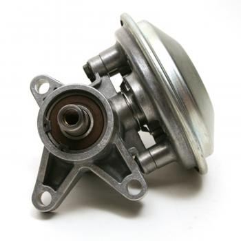 Delphi NLVP5041 - Diesel Vacuum Pump Delphi NLVP5041 Diesel Vacuum Pump product image 1 of 3