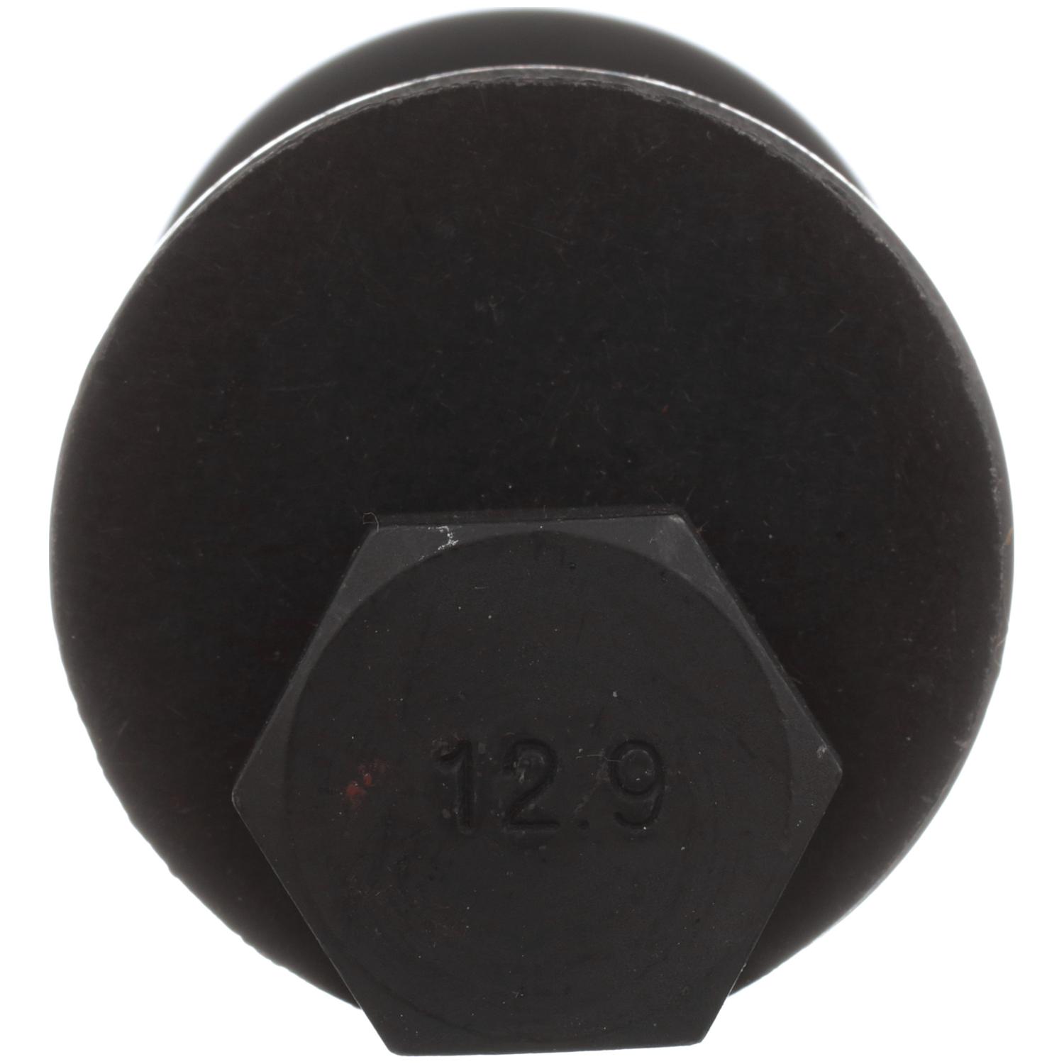 Delphi TAL10005 Alignment Cam Bolt Kit product image 6 of 7